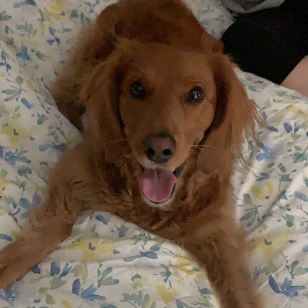 Hi!! Chelsea here👋🏼